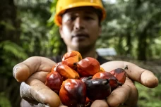 PASPI Apresiasi Komitmen...
