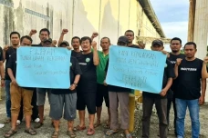Ratusan Hektare Sawah...