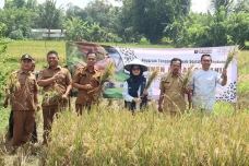 Dorong Ketahanan Pangan,...