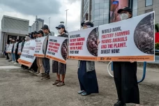 World Bank Didesak Hentikan...