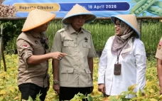 Tepis Feri Amsari, HKTI...