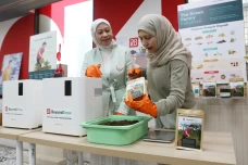 Pantry Jadi Pabrik:...