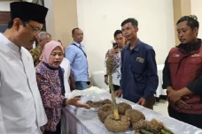 Tingkatkan Pendapatan...
