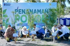 PLN EPI Tanam 2.500...