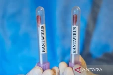 Kasus Hantavirus Ditemukan...