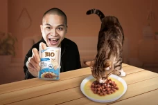 Pasar Pet Food Premium...