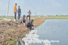 Wujudkan Ketahanan Pangan,...