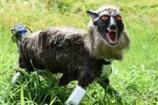 Jepang Menggunakan Monster...
