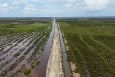 Program Cetak Sawah...