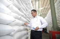 FAO Ingatkan Risiko...