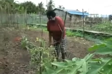 Tokoh Perempuan Adat...