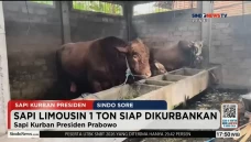 Istana soal Polemik...
