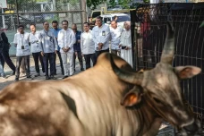 Pertamina Patra Niaga...
