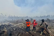 15 Ribu Hektare Lahan...