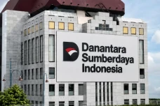 Ekonom Sarankan PT DSI...