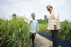 Tinjau Teknologi Tanam...