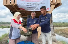 Program CID Pertamina...