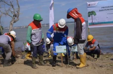 Investasi Hijau, Pertamina...