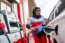 Transisi Energi, Prabowo...
