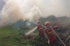 Kemenhut: 107.465 Hektare...