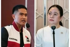 Kaesang Nyaleg di Dapil...