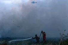 Antisipasi El Nino Godzilla,...