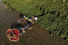 Indahnya Wisata Mangrove...