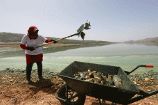 Air Danau Qaraoun Lebanon...