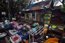 Mengintip Kehidupan...