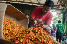 Harga Cabai Rawit Merah...