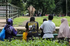 Libur Isra Miraj, Taman...