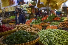Harga Kebutuhan Pangan...
