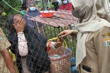 Tangis dan Bahagia Warga...