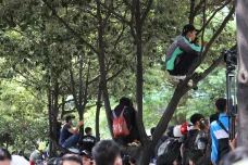 Warga Nekat Panjat Pohon...