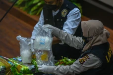 BNNP Sumsel Musnahkan...