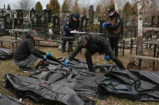 Polisi Ukraina Kumpulkan...