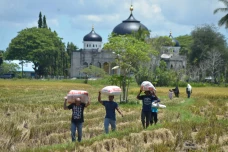 Buruh Tani Kecewa, Harga...