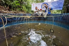 Jurnalis Mancing Indonesia...
