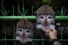 Aksi Damai Menentang...