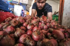 Harga Bawang Merah Tembus...