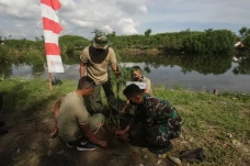 Penghijauan di Kawasan...