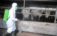 Penyemprotan Disinfektan...