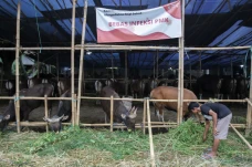 Pemerintah Berikan Ganti...