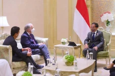 Pertemuan Presiden Jokowi...