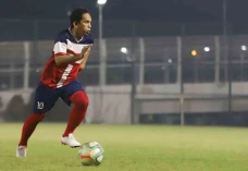 Nosigalo Old Star Gelar...