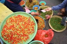 Harga Cabe Rawit Tinggi...