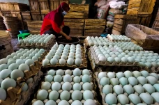 Telur Asin Indonesia...