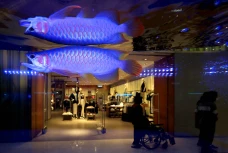Lippo Mall Kemang Gelar...