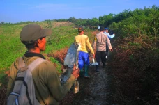 TNI AU Evakuasi Puing...
