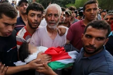 Alaa Qadoum, Bocah Palestina...